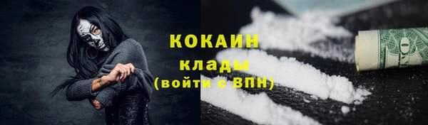 индика Михайловка