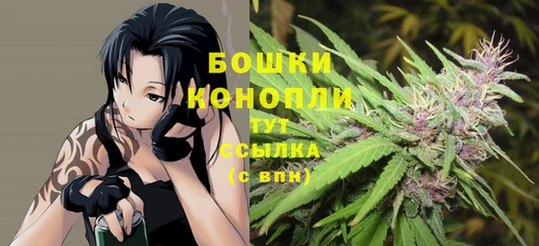 индика Михайловка