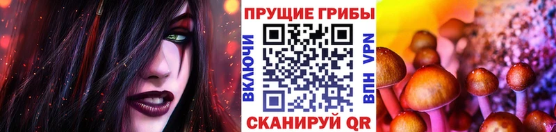 Псилоцибиновые грибы прущие грибы где купить наркотик Старый Крым
